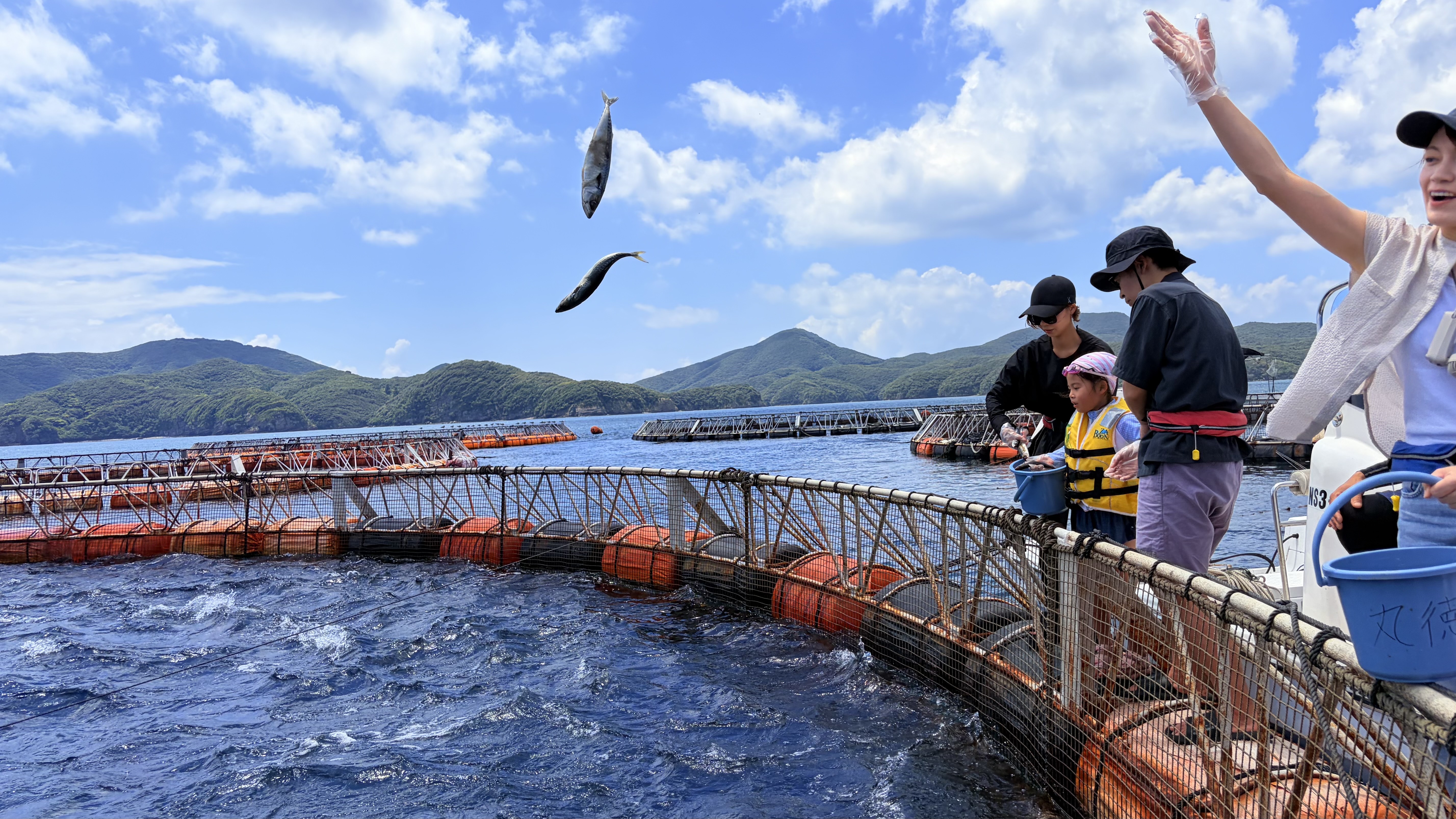 海遊記 対馬 マグロ釣り